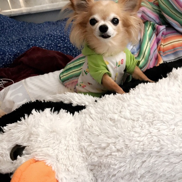 Meet your Posher Myro! - Picture 4 of 5